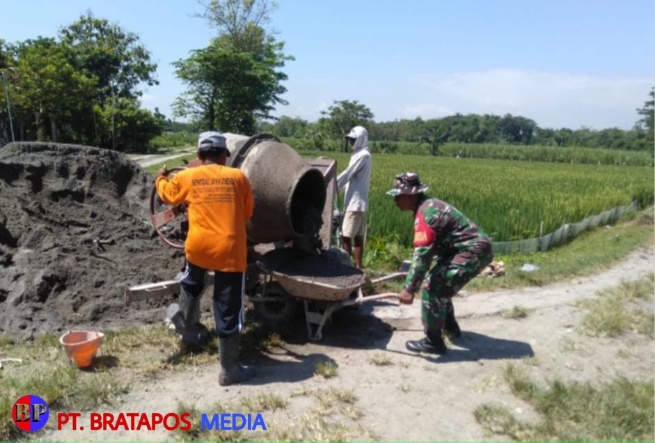 Dukung Pertanian, Babinsa Bangun Talud Jalan Sawah