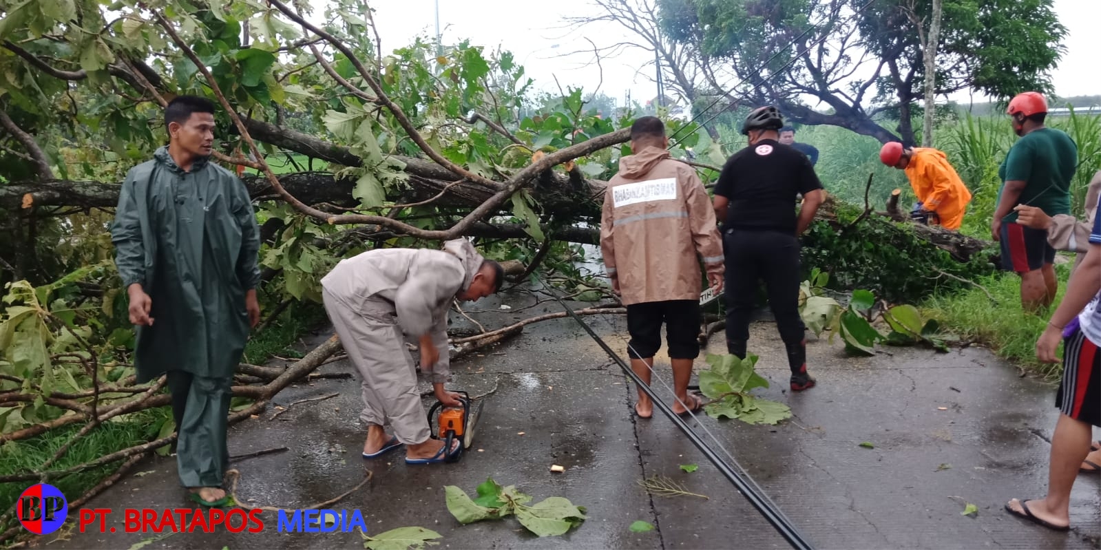 Gerak Cepat, Babinsa Bantu Evakuasi Pohon Tumbang di Ruas Jalan Sumberlawang
