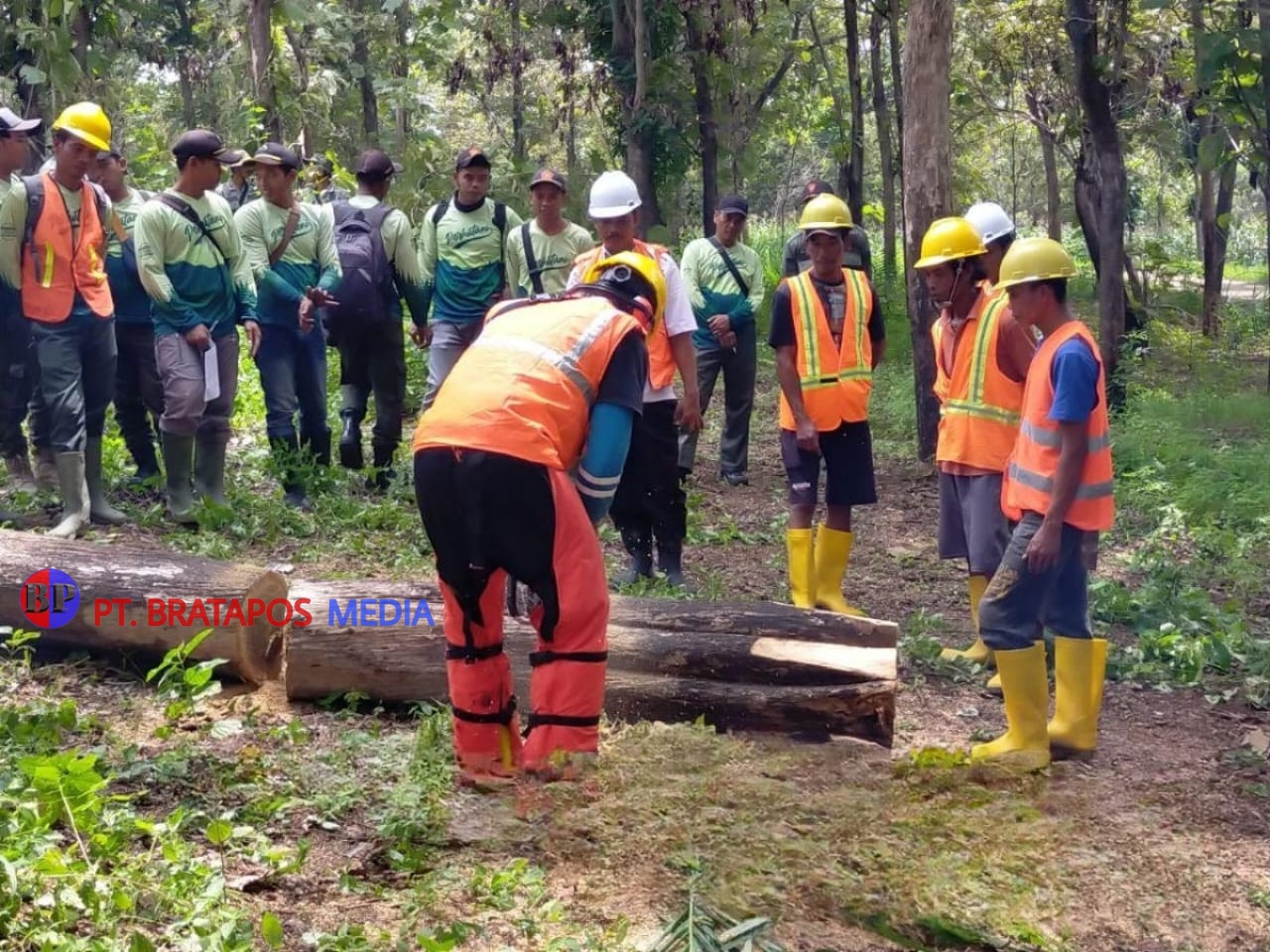 Job Training Tebangan untuk Meningkatkan Kompetensi Petugas