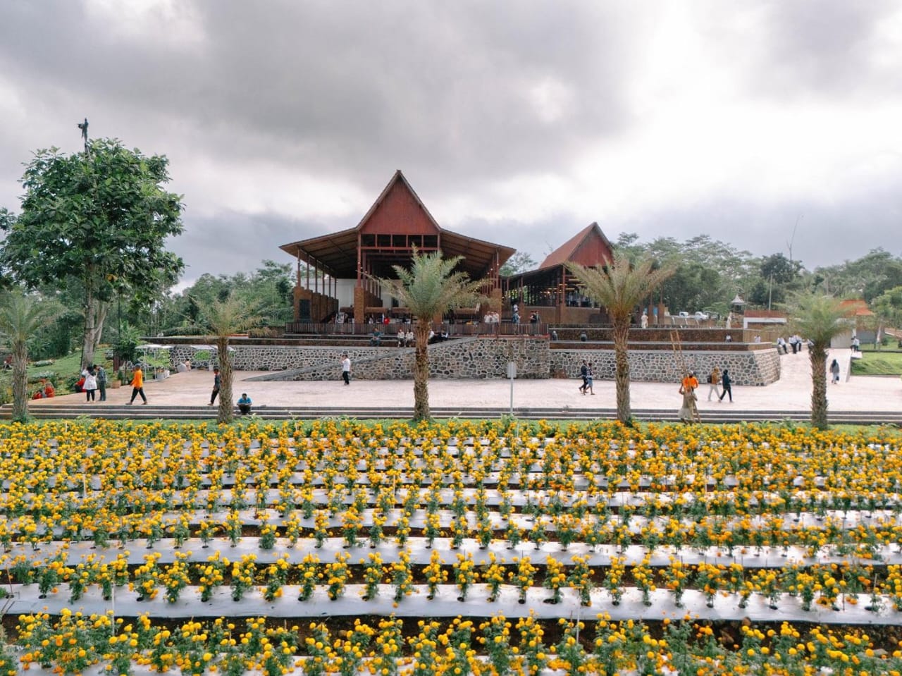 Sepekan di AWT Banyuwangi "Diperpanjang", Warga Diperbolehkan Gelar Event