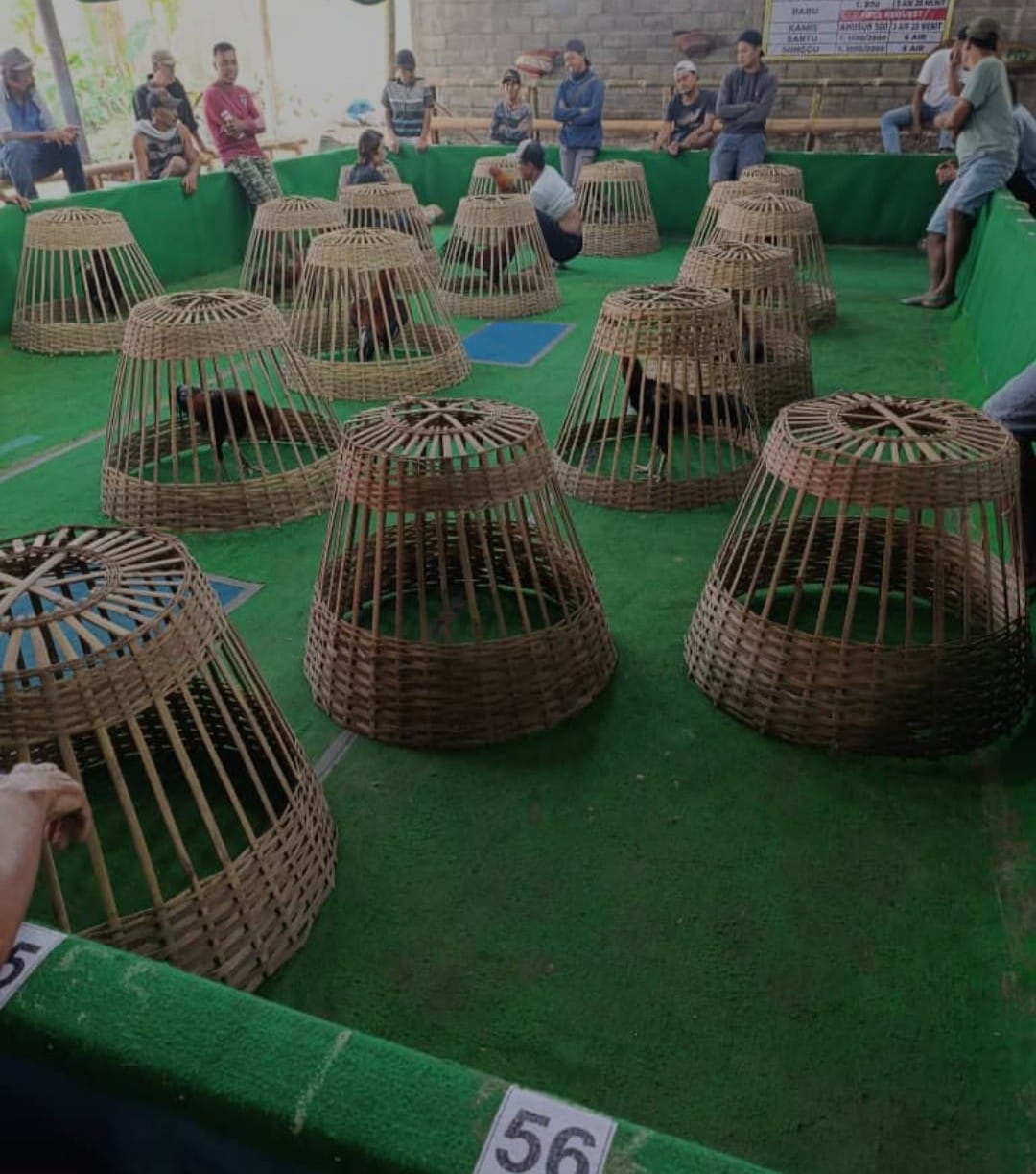 Blitar Beraksi, Perjudian 303 Undangan di Gelar Cukup Ramai