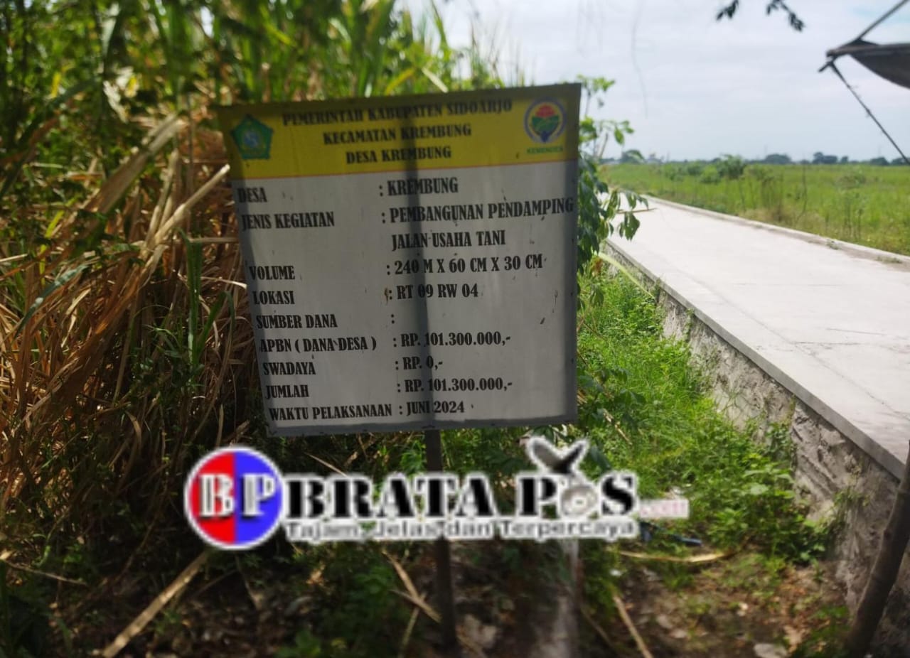 Pembangunan JUT Desa Krembung Kecamatan Krembung Diduga Jadi Ajang Cari Untung