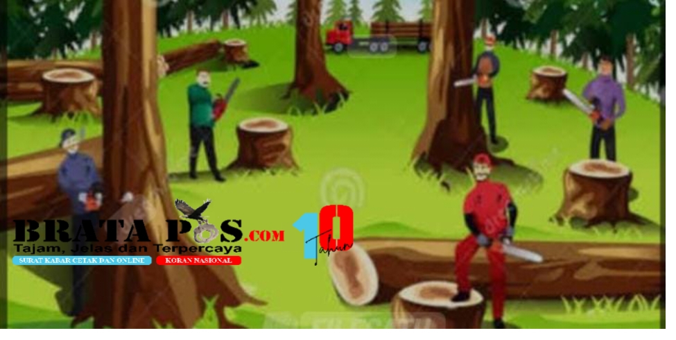 Dugaan Skandal Penyelewengan Kayu Jati Hasil Tebang Di KPH Parengan Mulai Terkuak Hingga Mencuat Di Publik.