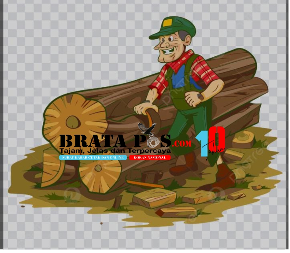 Setelah Di Beritakan Dugaan Penyelewengan Kayu Hasil Tebang, Pihak Perhutani Panik Dan Meminta Untuk Takedown Berita.
