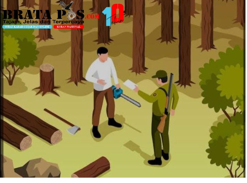 Kasus Pencurian Kayu Yang Di Duga Di Dalangi Oleh Oknum Anggota Perhutani Mulai Terkuak Dan Mencuat Di Publik.