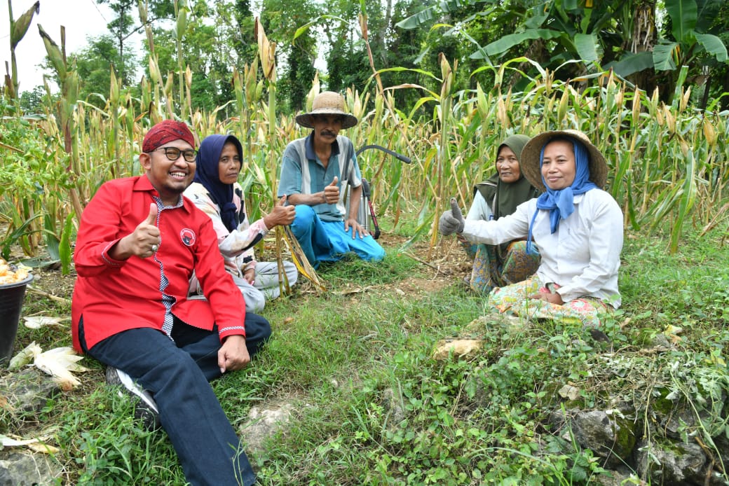 Pemkab Sumenep Fasilitasi Asuransi Ketenagakerjaan Gratis untuk Petani Tembakau dengan DBHCHT