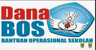 Ditanya Adanya Indikasi Penyalahgunaan Dana BOS, Bendahara SDN Jungkarang 4 Mendadak Amnesia