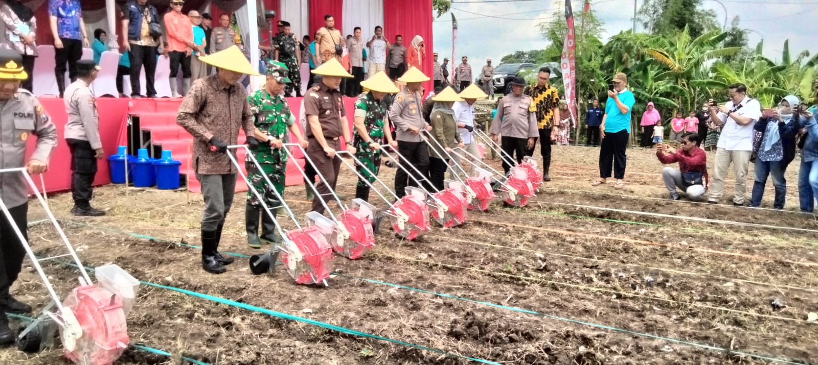 Tanam Jagung BHAYANGKARA, Bibit Unggul Jagung Harapan Bangsa