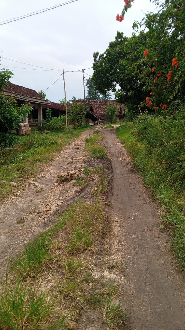 Jalan Rusak Bertahun Tahun, Warga Dusun Wadeng Kab. Bojonegoro Mengeluh