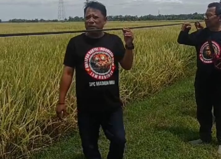 LSM Harimau Mengirim Surat Audensi Kabel Semrawut di Madiun ke DPRD, Potensi Pelanggaran UU Telekomunikasi