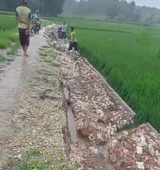 Baru Berusia Seumur Jagung Pembangunan TPJ Di Dusun Gayam Ambyar Diduga Akibat Di terjang Banjir.