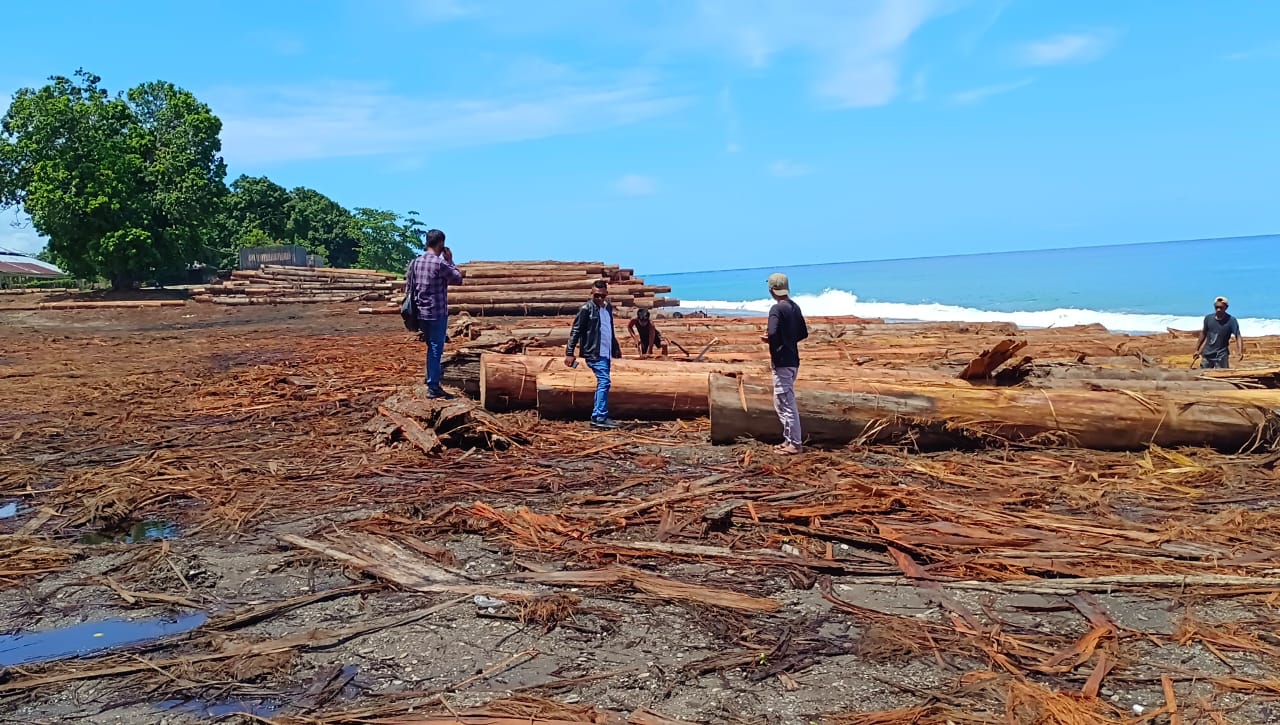 Diduga Menyerobot Lahan Rakyat di Kabupaten Buru, PT GHL Dipolisikan Pengacara Pemilik Lahan