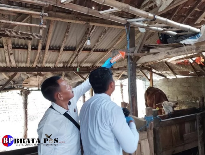 Sungguh Tragis..!! Bocah Kelas 5 SD Nekat Gantung Diri di Kandang Sapi