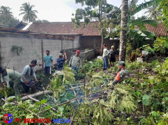 Babinsa Koramil Ampel Bersama Warga Evakuasi Pohon Tumbang dan Perbaiki Rumah Warga