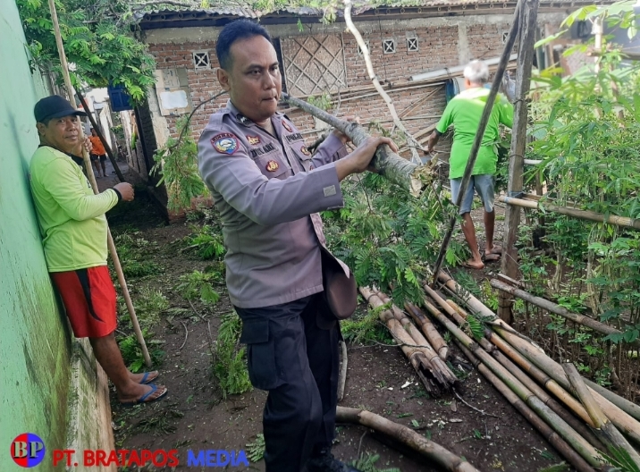 Respon Cepat Polsek Binangun Tanggapi Pohon Tumbang Akibat Hujan Angin