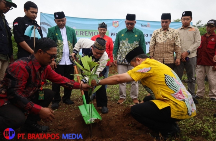 PCM Kaliwiro dan Lazismu Tanam 2.000 Pohon Aren di Lahan Kritis Wonosobo