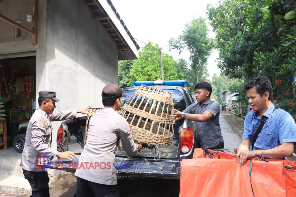 Satreskrim Polres Blitar Kota Dan Polsek Ponggok Bongkar Arena Judi Sabung Ayam di Karangbendo