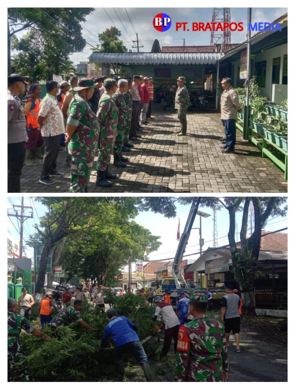Antisipasi Bencana Alam Pohon Tumbang, Muspika Kecamatan Wagir Giat Penebangan Pohon di Sepanjang Jalan