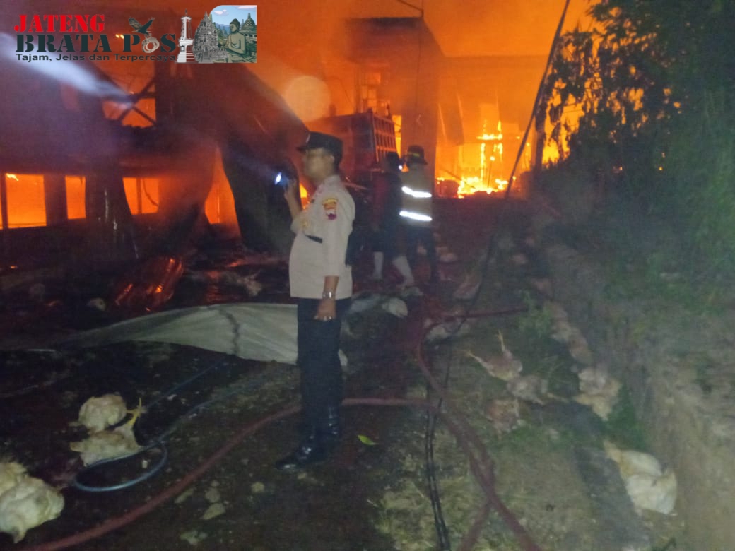 Kebakaran Gudang Ayam  Di Desa Bermi, Gembongan Pati,  Di Duga Karena Konsleting Listrik