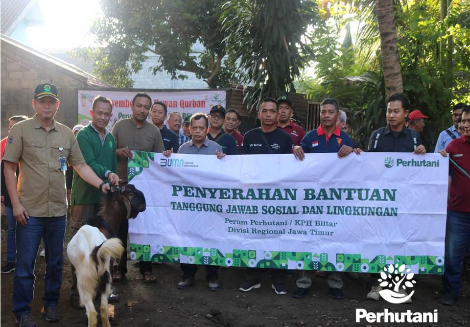 Bentuk Rasa Syukur, Perhutani KPH Blitar Rayakan Idul Adha 1445H Potong Hewan Kurban Bersama Masyarakat Sekitar Hutan