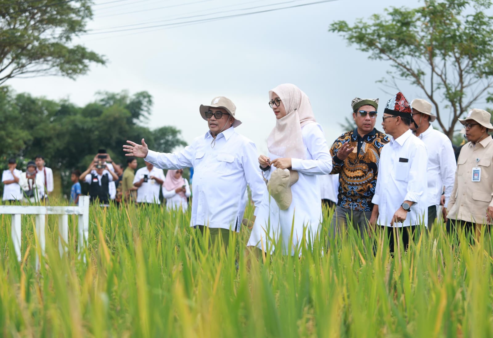 Banyuwangi Luncurkan "Sunwangi", Ekosistem Beras Biofortifikasi Industri Pertama di Indonesia
