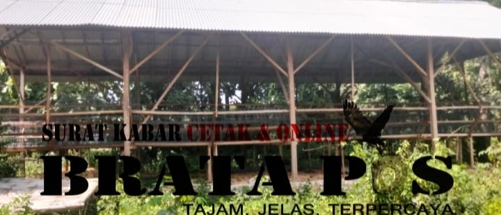 BUMDes Desa Gersempal Disorot, Program Ayam Petelur Tanpa Ayam, Pj Kades dan Kecamatan Membisu
