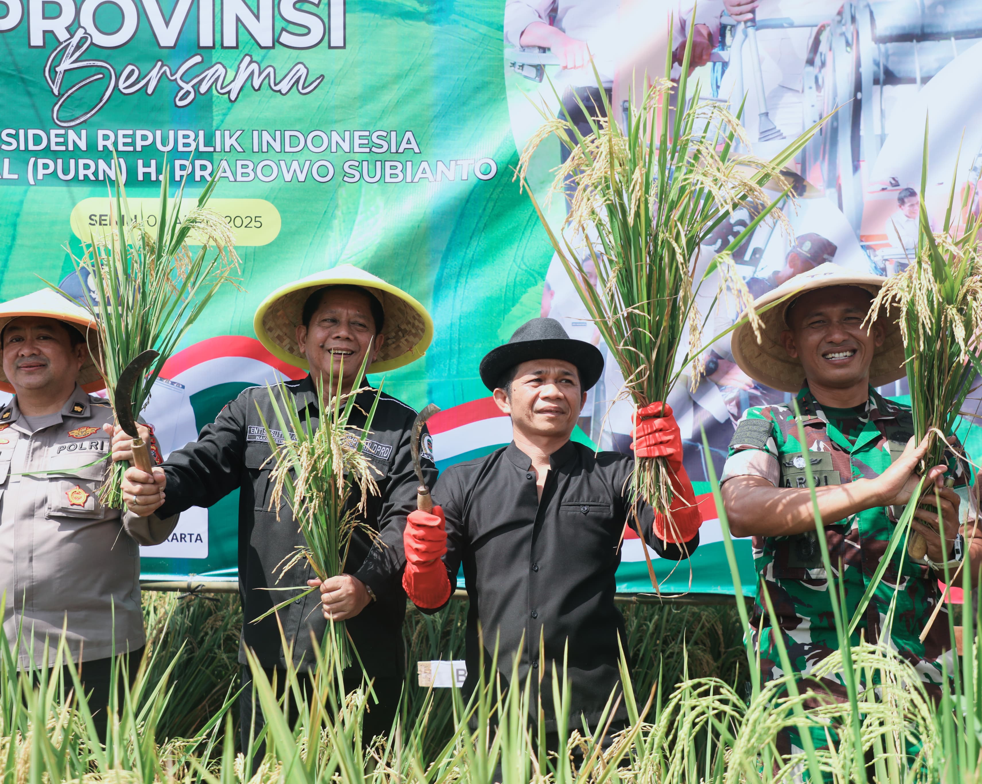 Bupati Purwakarta Om Zein Menghadiri -Panen Raya Padi Serentak Di Desa Cisaat Untuk Memakmurkan Ketahanan Pangan Nasional