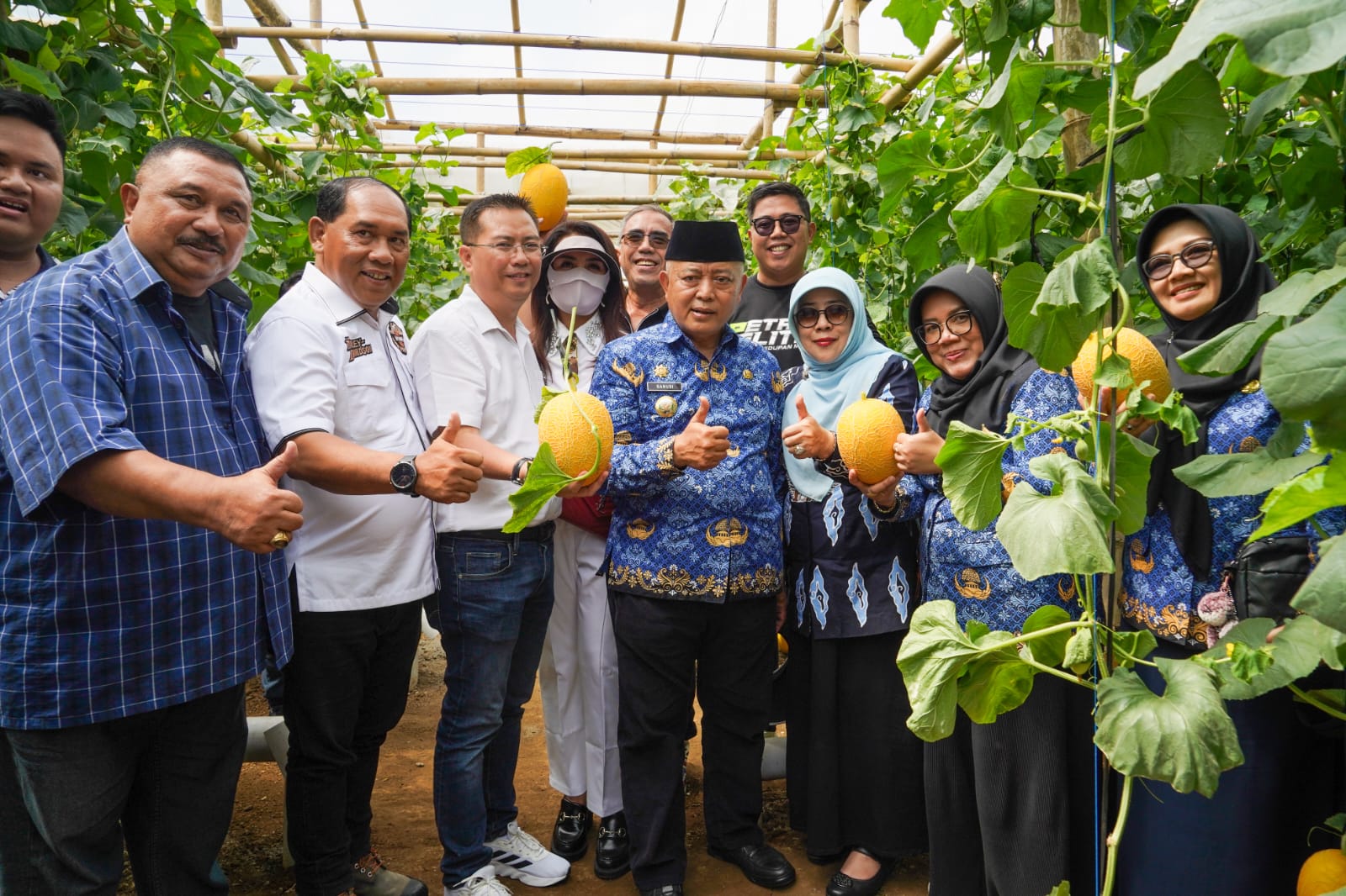 Bupati Sanusi Panen Melon Golden di Donomulyo, Siap Tembus Pasar Ekspor!