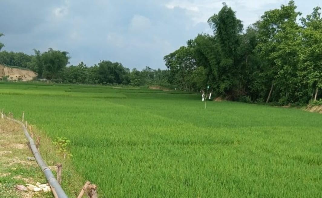 CV Lisa Kecam Pemberitaan Yang Tidak Berimbang serta Abaikan KEJ.
