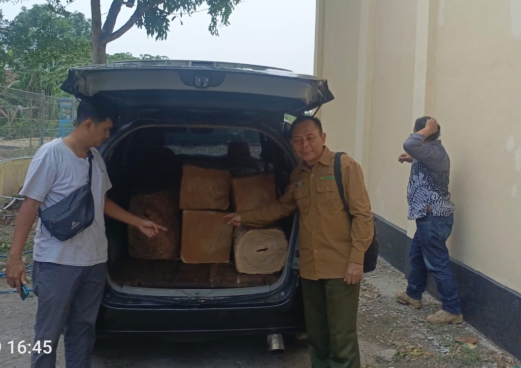 Dengan Modus Gonta Ganti Nopol, Mobil Pengangkut Kayu Curian Berhasil Digagalkan Petugas.
