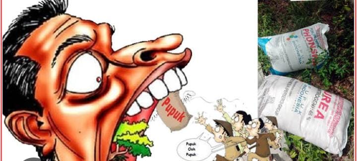 Di Duga Akibat kios Pupuk Subsidi Jual Di Atas HET, Berakibat Mahalnya Harga Pupuk Di Kecamatan Parengan.
