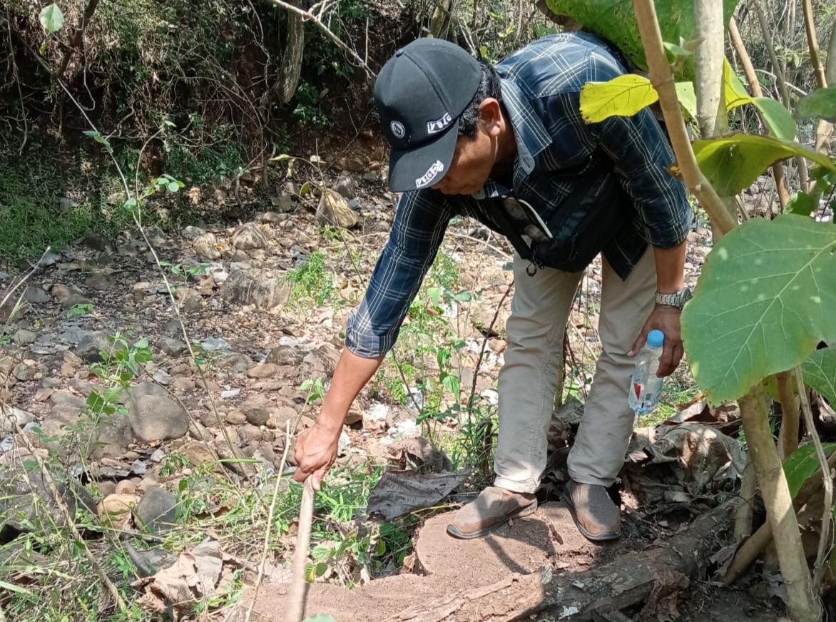 Diduga Lakukan Pembalakan Ilegal, Perhutani KPH Madiun Dituding Tebang Jati Dekat Anak Sungai