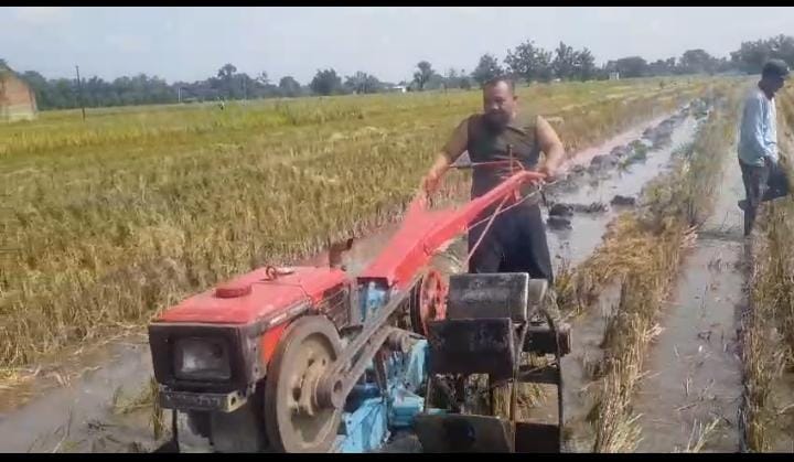 Dukung Ketahanan Pangan, Wahyudi (Ngenggong) Tinggalkan Kehidupan Jalanan Demi Bertani di Desa Kincang Wetan