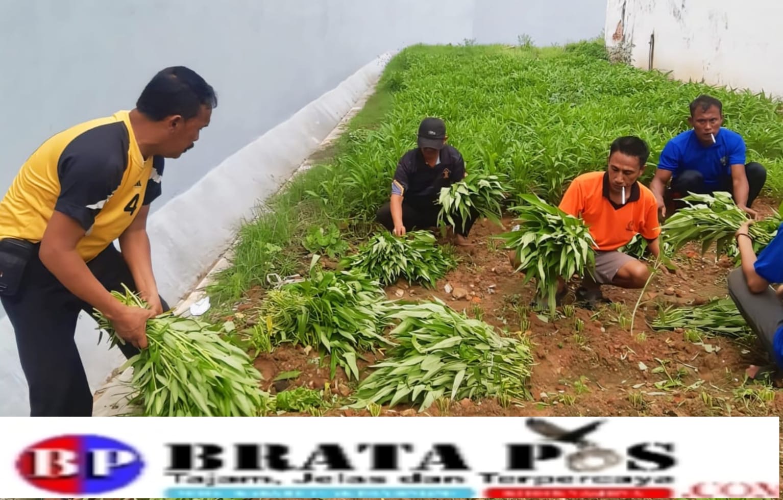 Geluti Sektor Pertanian," Warga Binaan Rutan Kelas II B Sampang Diberikan Arahan Hal- Hal Yang Positif