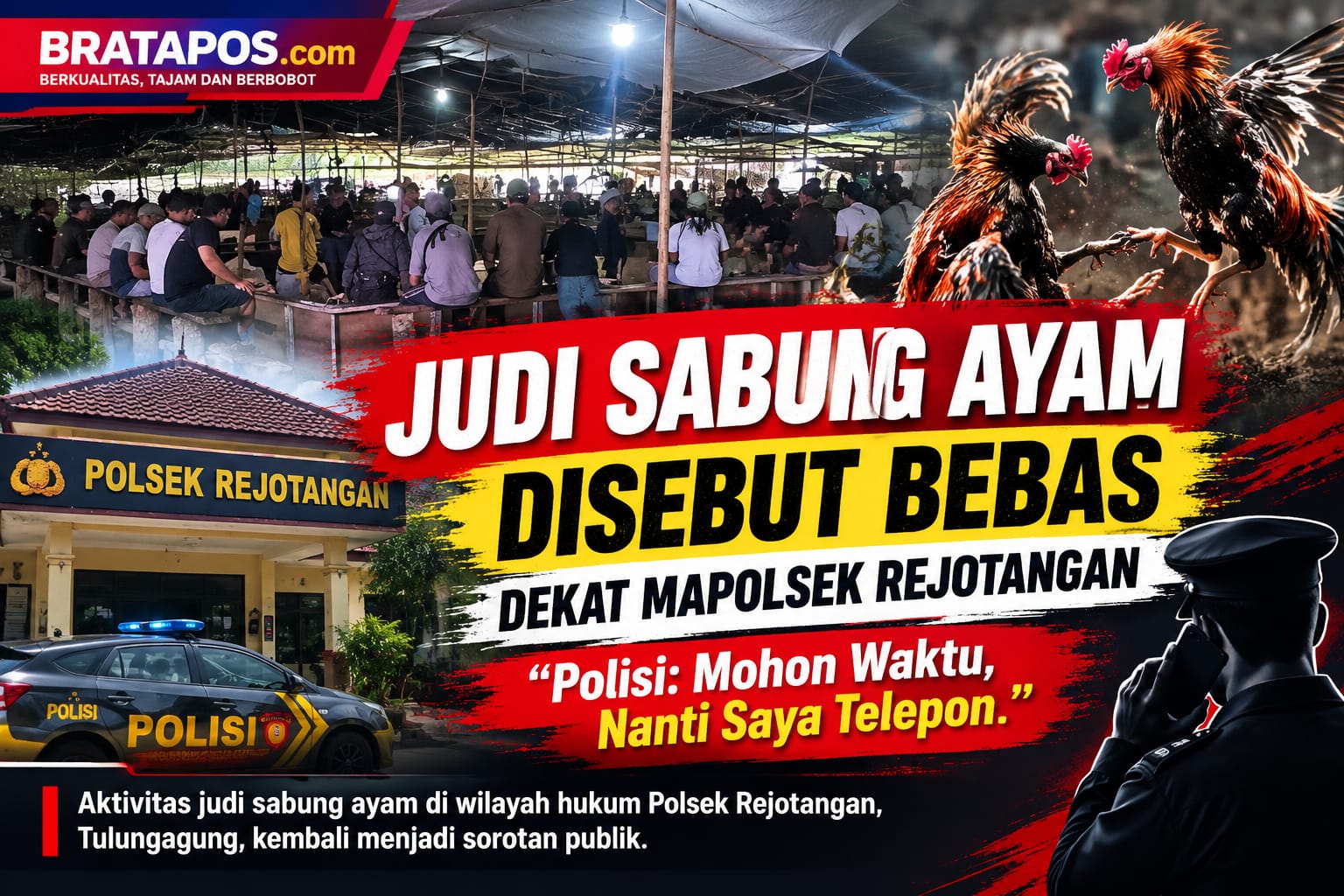 Judi Sabung Ayam Disebut Bebas Dekat Mapolsek Rejotangan, Polisi: Mohon Waktu, Nanti Saya Telepon