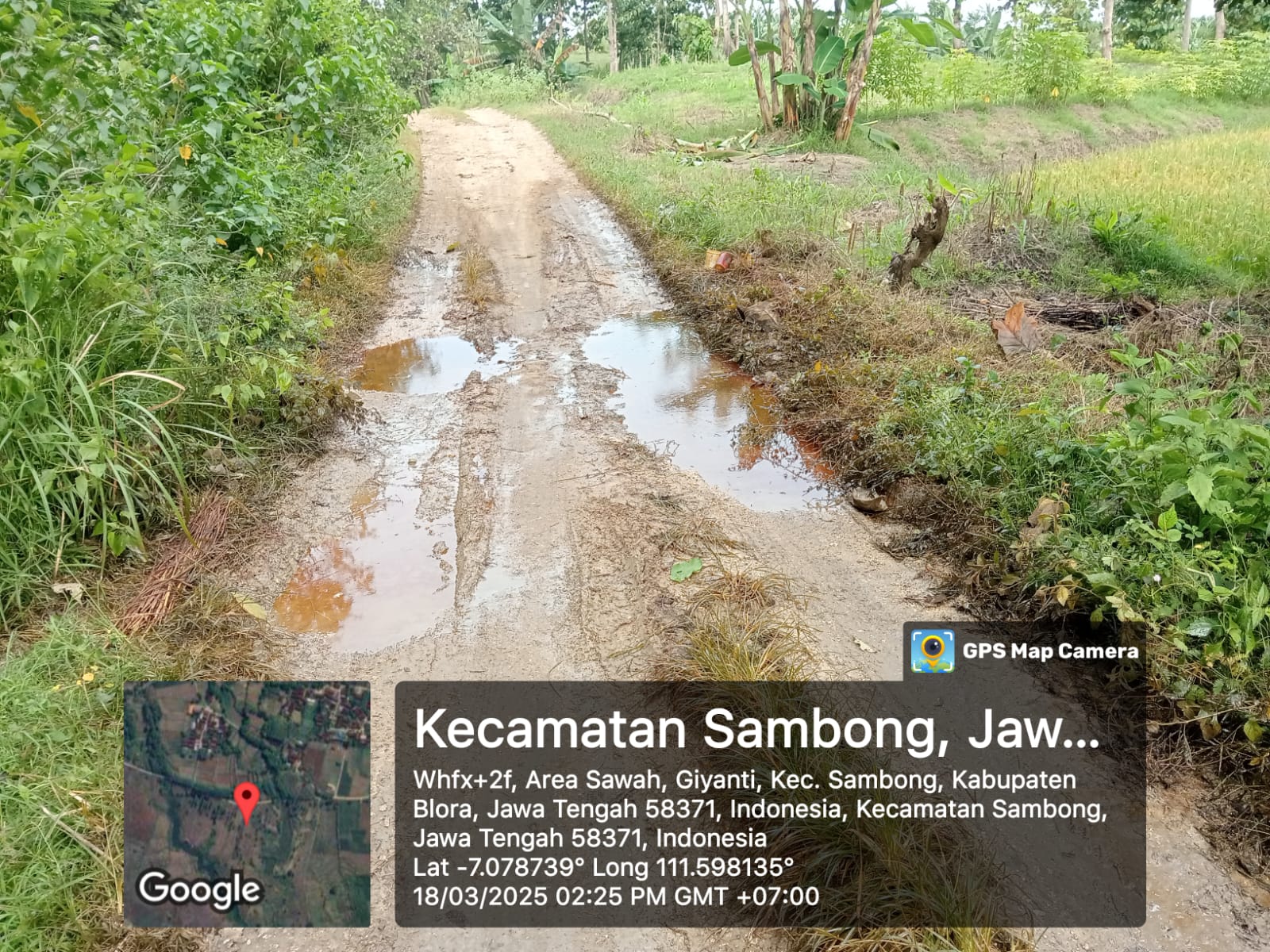 Lagi-lagi, Tumpahan Minyak Mentah Terjadi di Blora