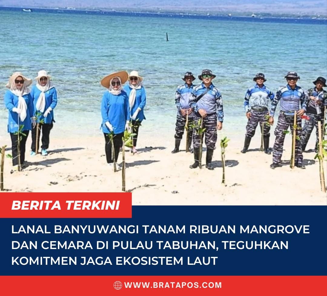 Lanal Banyuwangi Tanam Ribuan Mangrove dan Cemara di Pulau Tabuhan, Teguhkan Komitmen Jaga Ekosistem Laut