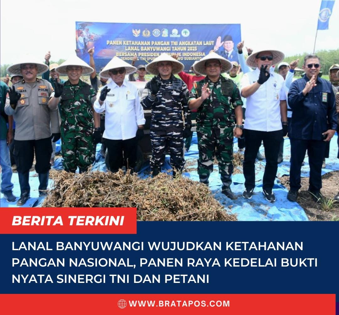 Lanal Banyuwangi Wujudkan Ketahanan Pangan Nasional, Panen Raya Kedelai Bukti Nyata Sinergi TNI dan Petani
