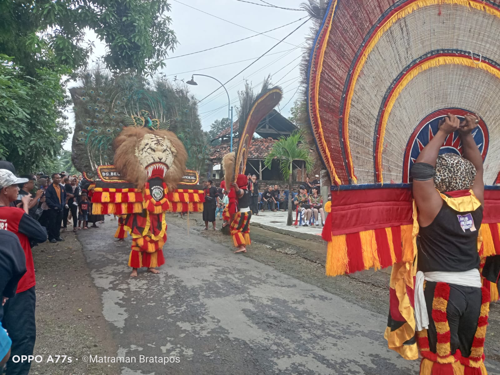 Lima Dadak Merak Reyog Ponorogo, Di Tampilkan Dalam Grebeg Selo Desa Kupuk Bungkal