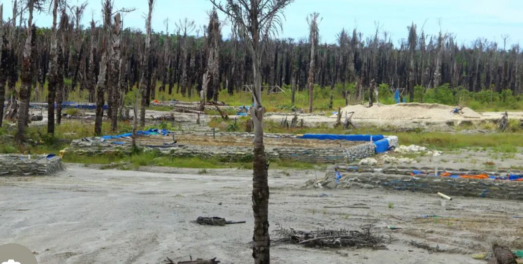 Lokasi Areal Sagu-Sagu Anahoni Mulai Beroperasi’ Pos Pengaman GB Lokasi Anahoni  Di Pertanyakan