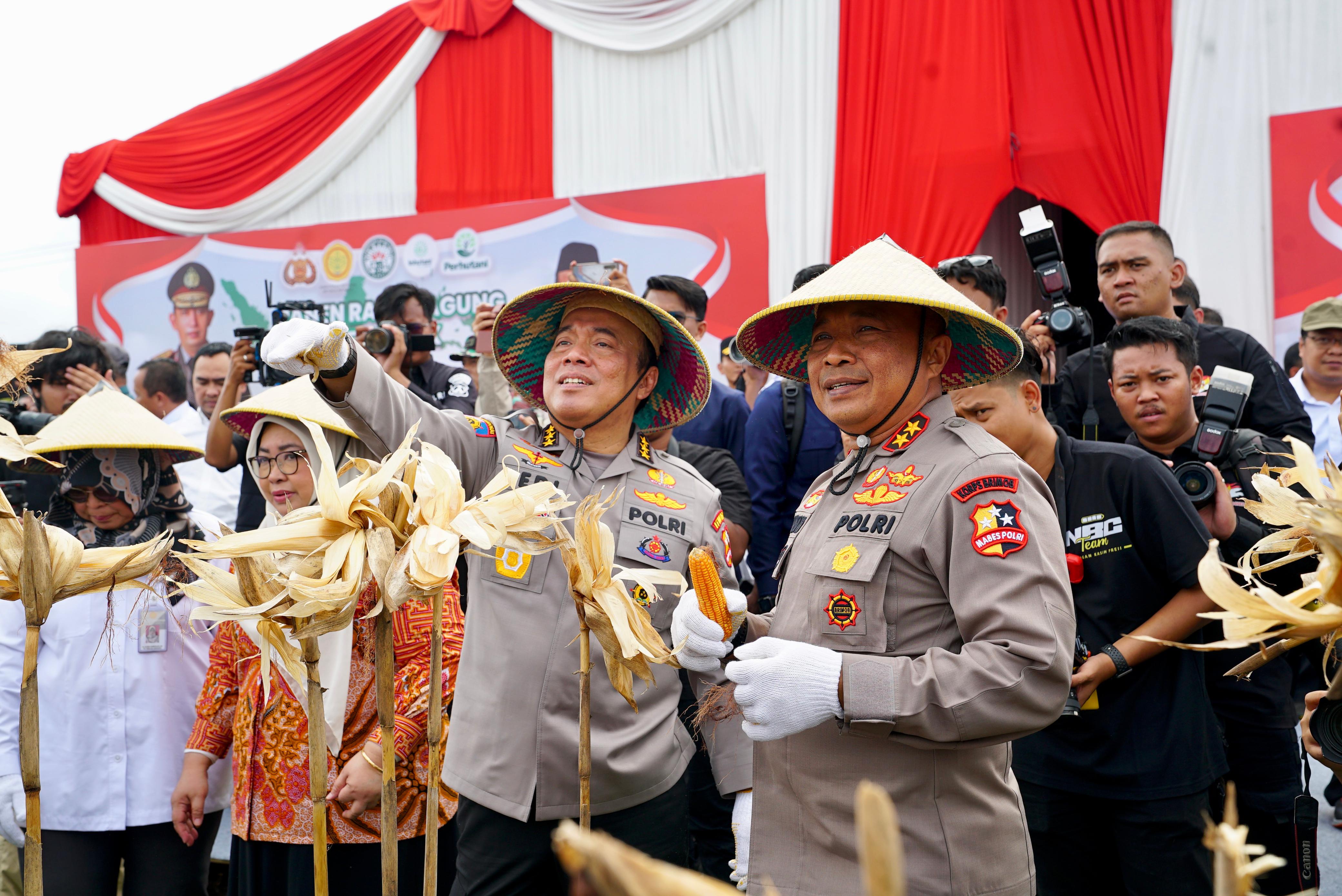 Panen Raya Jagung Tahap Pertama di Madiun, Irwasum Polri dan Wamentan Pimpin Langsung Acara