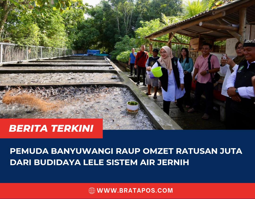 Pemuda Banyuwangi Raup Omzet Ratusan Juta dari Budidaya Lele Sistem Air Jernih