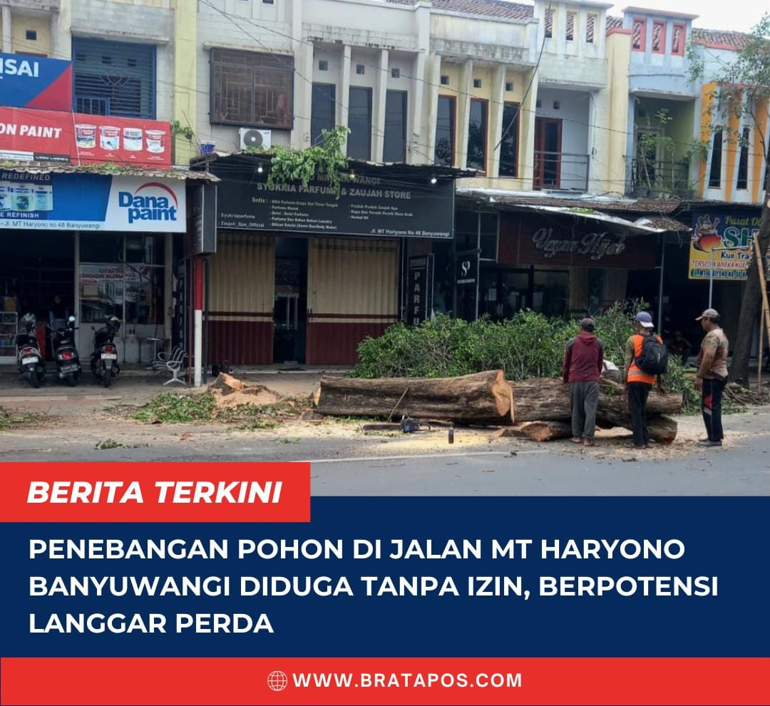 Penebangan Pohon di Jalan MT Haryono Banyuwangi Diduga Tanpa Izin, Berpotensi Langgar Perda