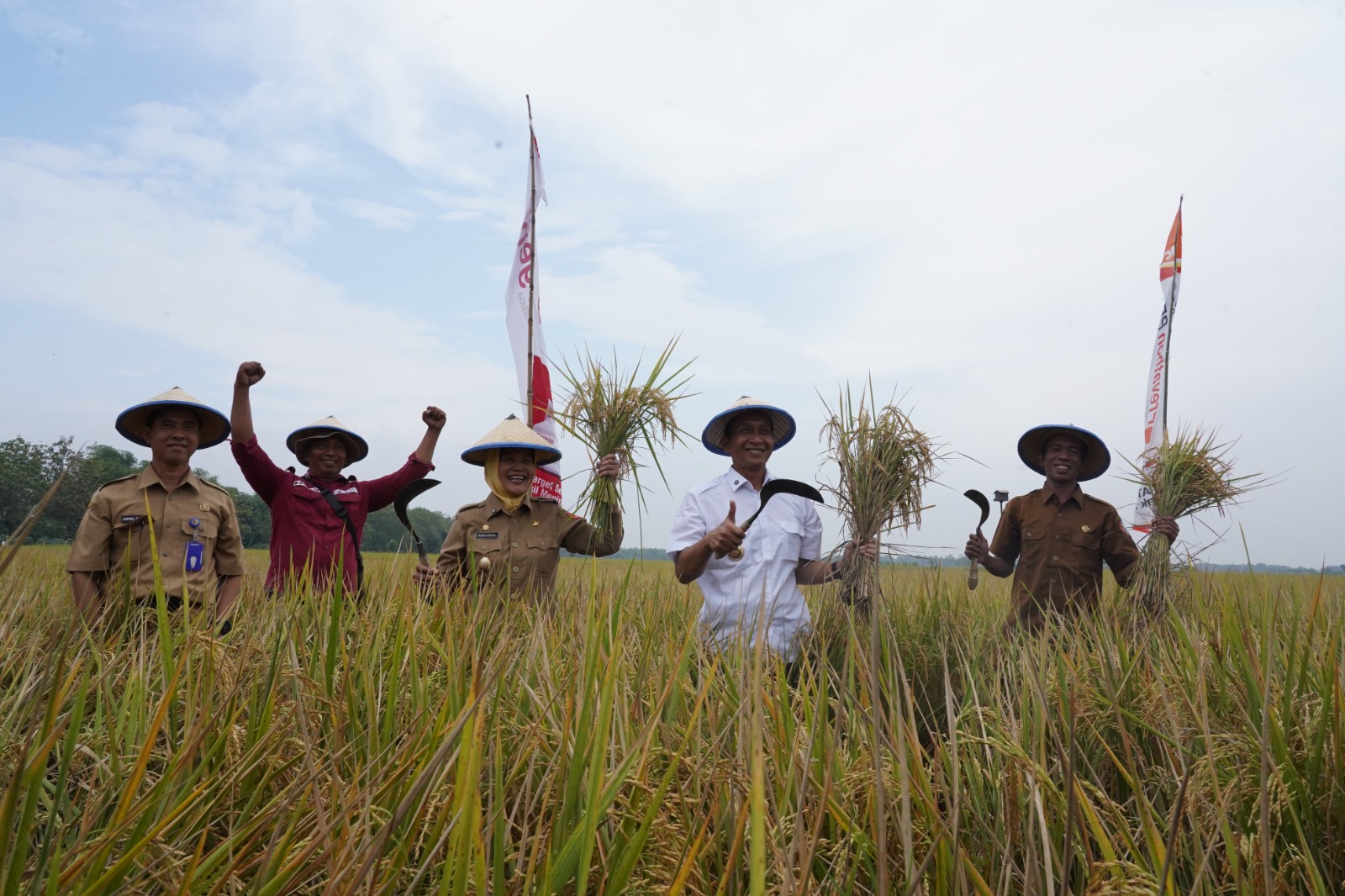 Pertanian Prioritas Utama, Bojonegoro bertekad Jadi Produsen Padi Terbesar Kedua Jatim