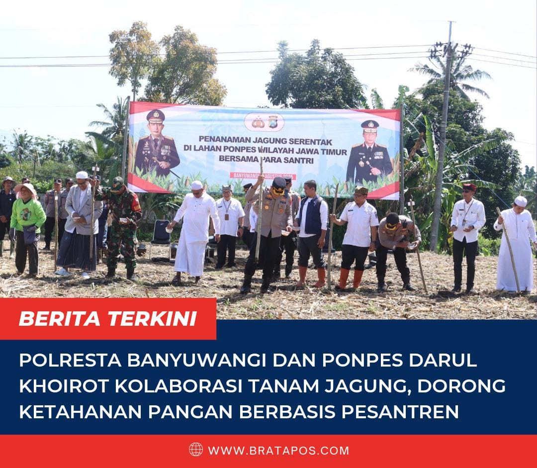 Polresta Banyuwangi dan Ponpes Darul Khoirot Kolaborasi Tanam Jagung, Dorong Ketahanan Pangan Berbasis Pesantren