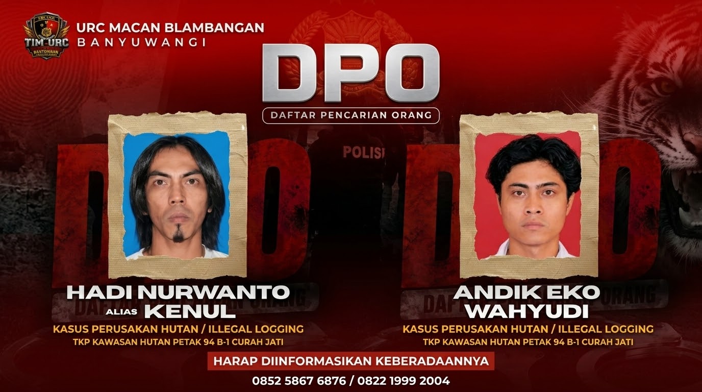 Polresta Banyuwangi Terbitkan DPO Dua Tersangka Illegal Logging, Diburu Tim URC Macan Blambangan
