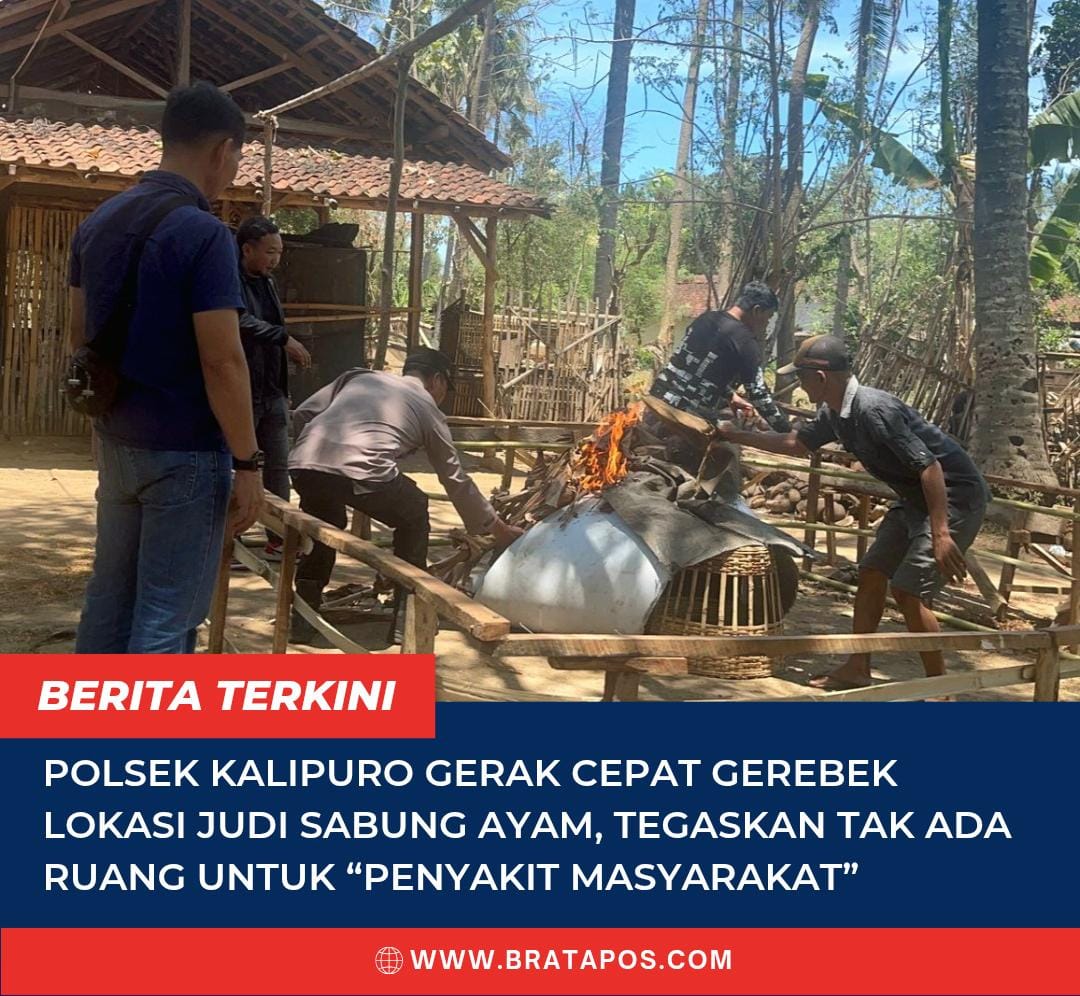 Polsek Kalipuro Gerak Cepat Gerebek Lokasi Judi Sabung Ayam, Tegaskan Tak Ada Ruang untuk “Penyakit Masyarakat”