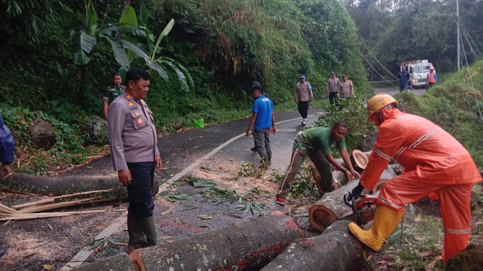 Respon Cepat TNI -POLRI Evakuasi Pohon Tumbang Di Jalur Wisata Ngebel