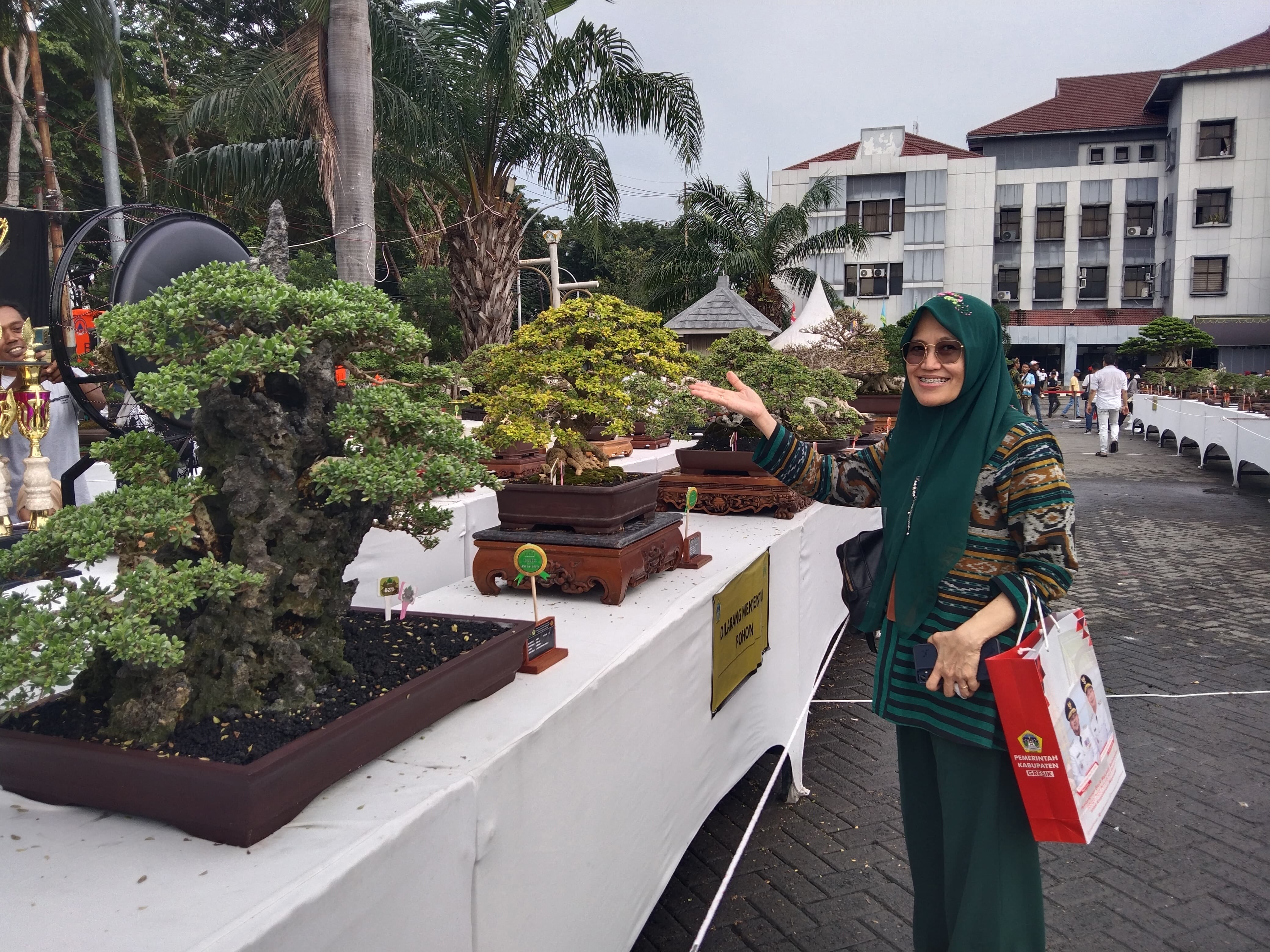 Ribuan Bonsai Kelas Bintang Datang Dari Seluruh Penjuru Indonesia, Padati Halaman Kantor Bupati Gresik