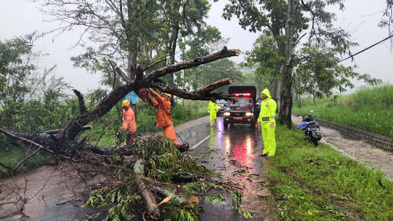 Sigap di Tengah Hujan, Polsek Magetan dan BPBD Evakuasi Pohon Tumbang, Jalur Magetan–Bendo Kembali Lancar